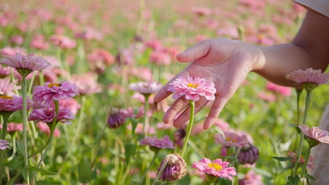 call girls in chamba